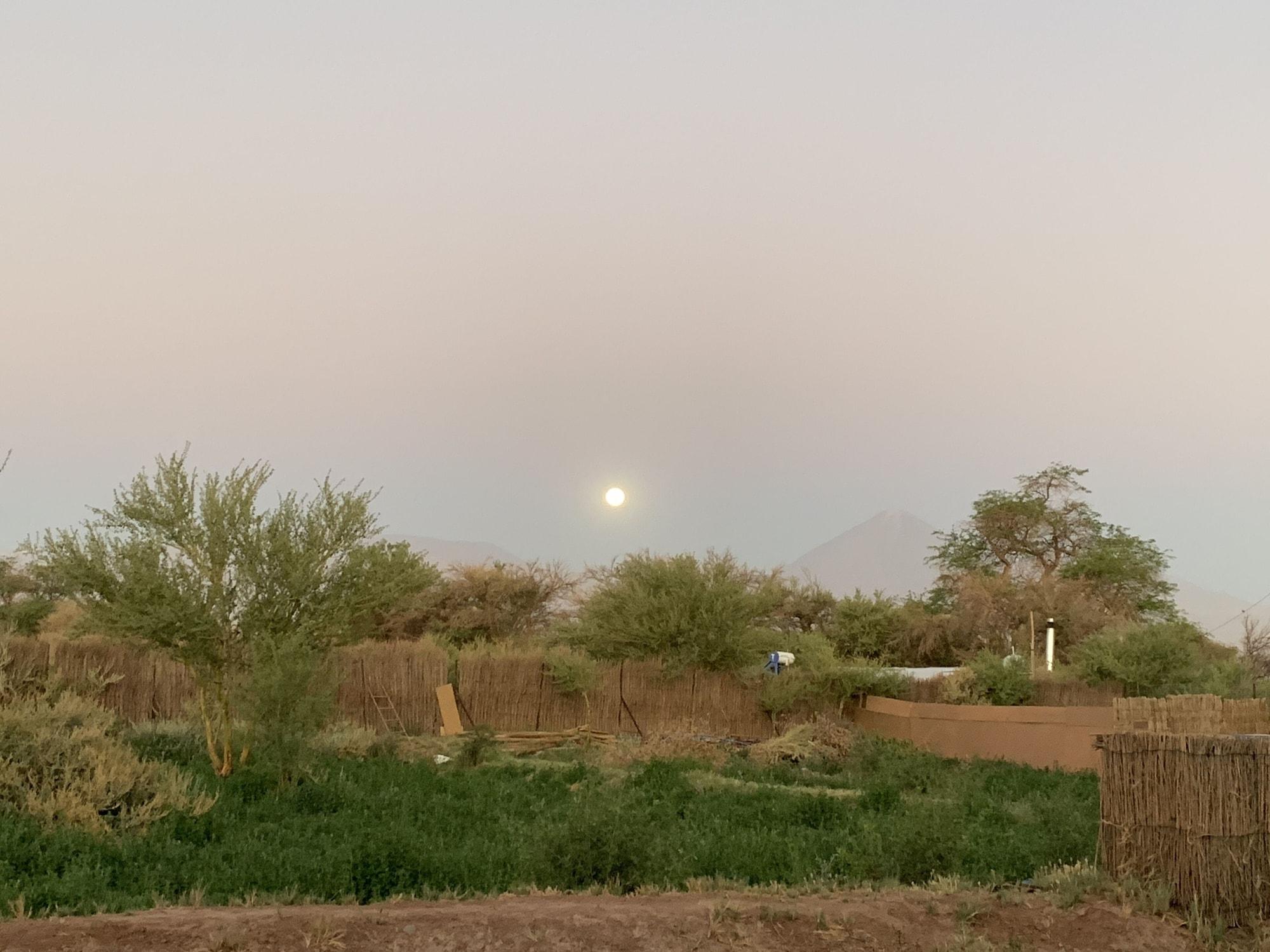 Atacama-Adventure Wellness & Ecolodge 산 페드로 데 아타카마 외부 사진